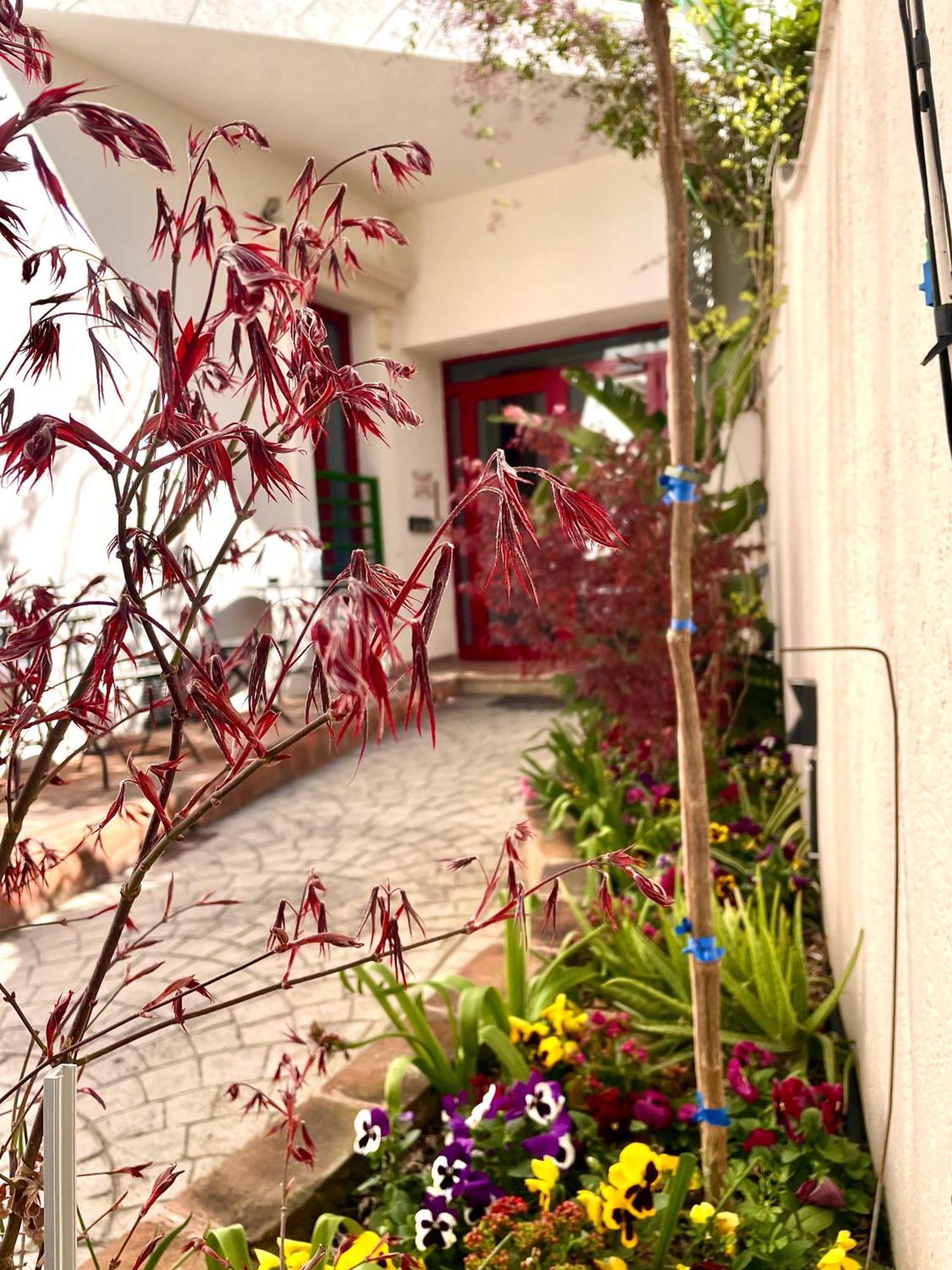 City 5 Hotel Tirana Exterior photo